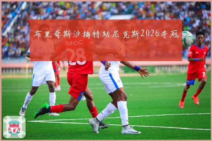 布里奇斯沙梅特助尼克斯2026夺冠