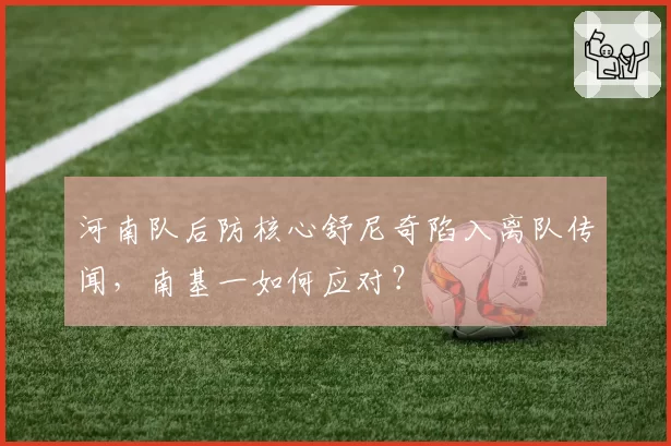 河南队后防核心舒尼奇陷入离队传闻，南基一如何应对？
