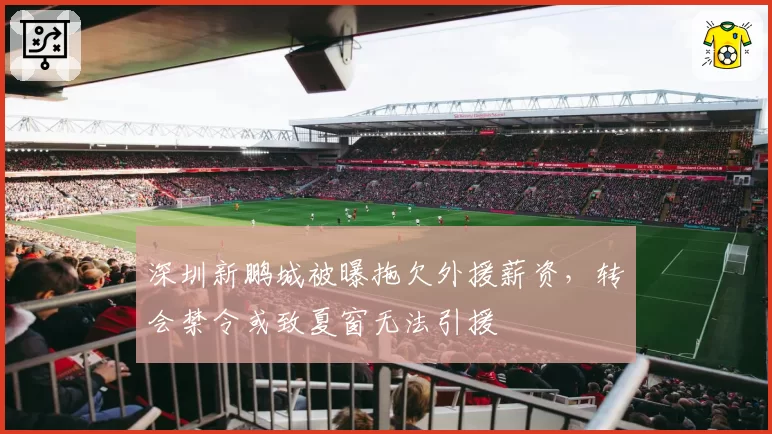 深圳新鹏城被曝拖欠外援薪资，转会禁令或致夏窗无法引援