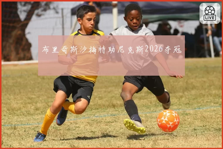 布里奇斯沙梅特助尼克斯2026夺冠